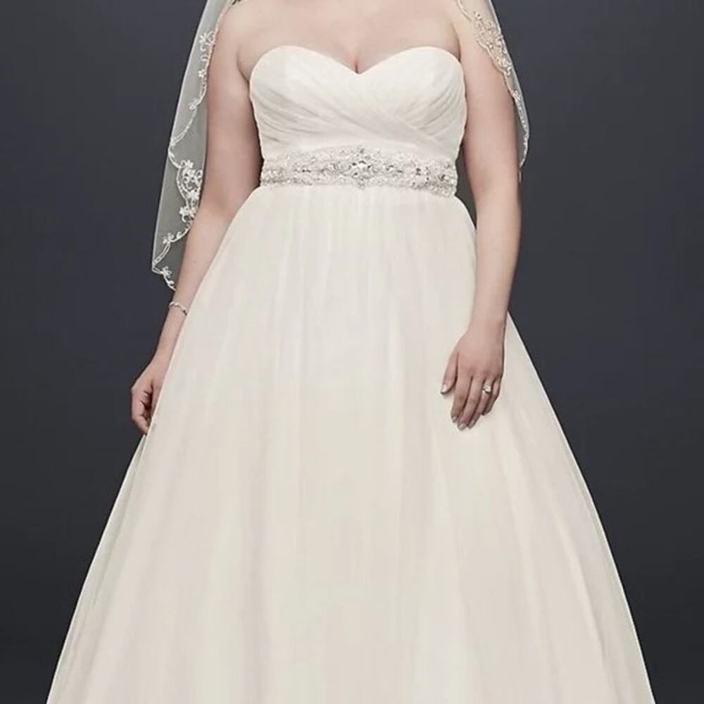 David's Bridal NWT Strapless Wedding Dress Ivory Ballgown Style Plus 18W 9WG3802